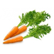 Морква молода ваг