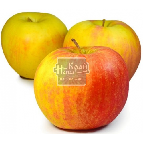 Яблуко Чемпіон ваг