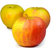 Яблуко Чемпіон ваг