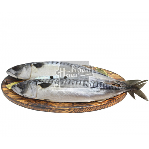 Риба Скумбрія маринована н/ф ваг