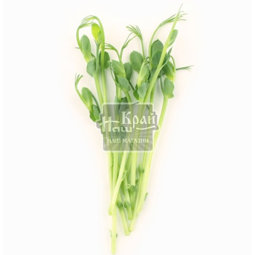 Мікрозел VitaminsGreens 50г Гор зел зріз