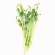 Мікрозел VitaminsGreens 50г Гор зел зріз