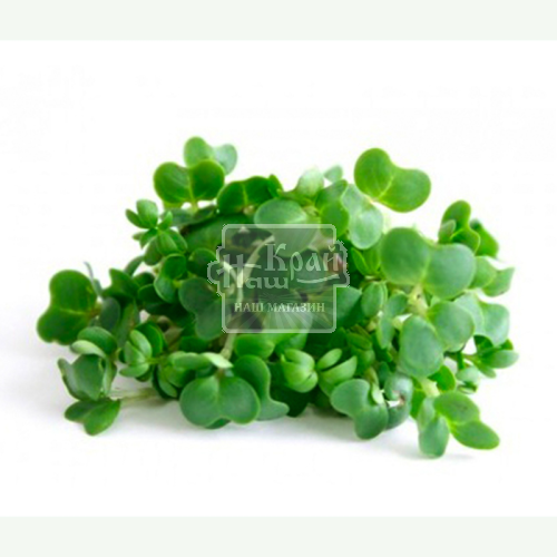 Мікрозел VitaminsGreens 50г Редис зріз