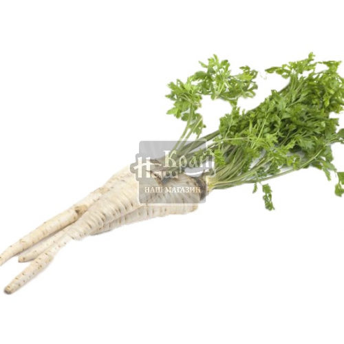 Петрушка корінь ваг