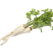 Петрушка корінь ваг