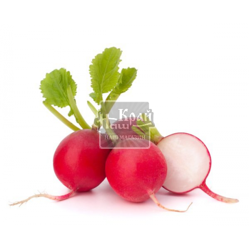 Редиска пучок  шт